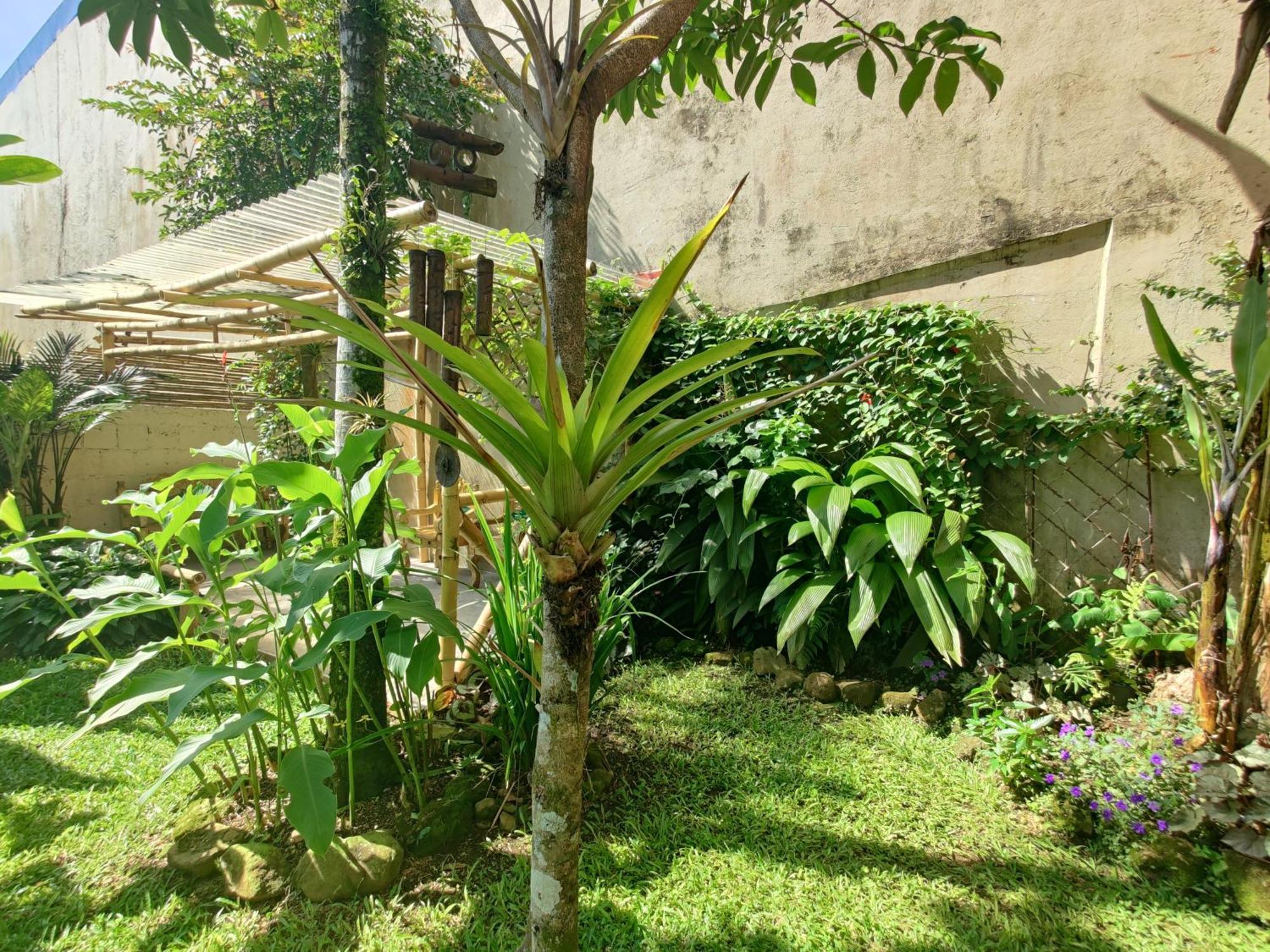 Casa De Lis Hotel & Tourist Info Centre Turrialba Esterno foto