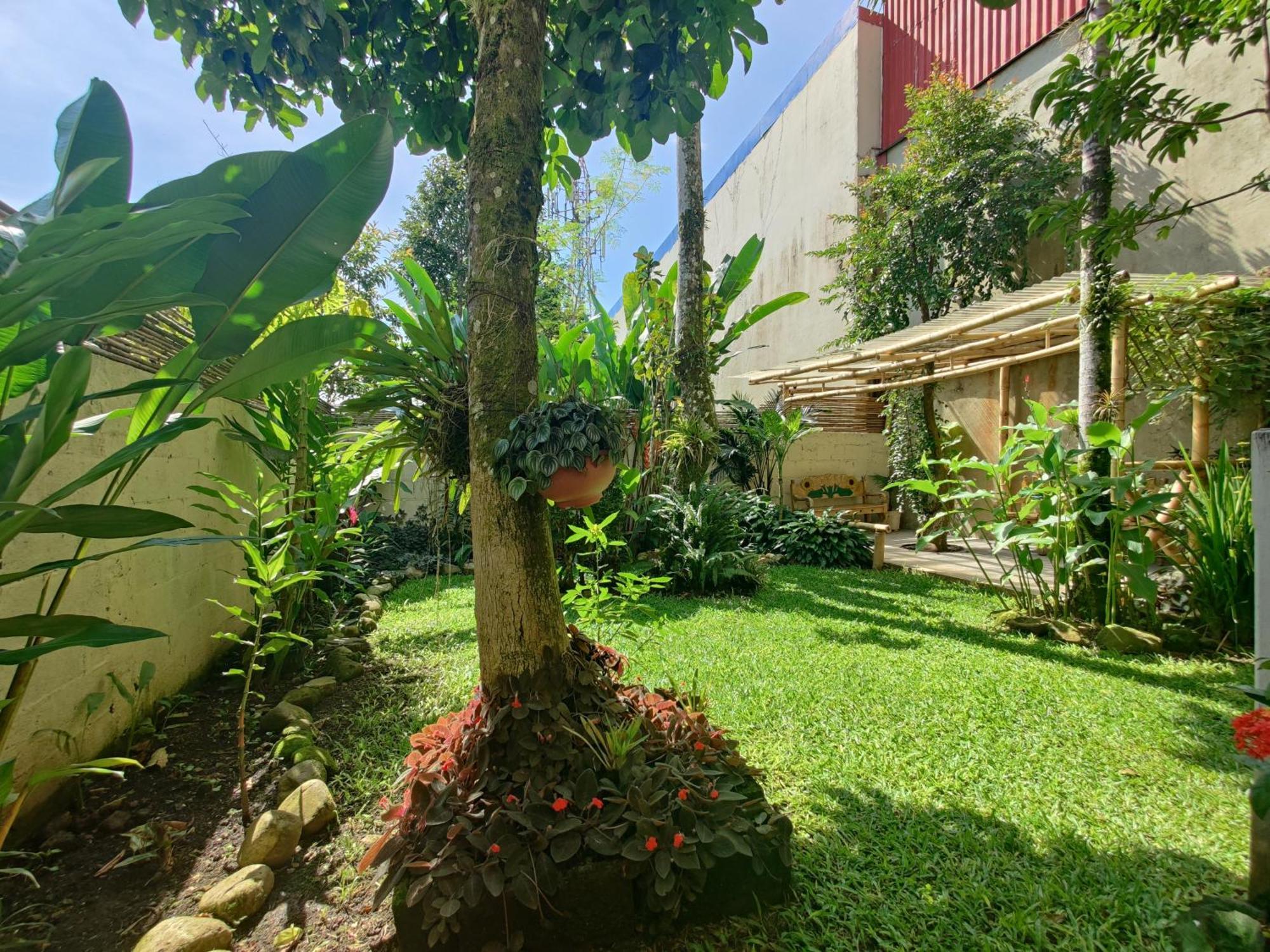 Casa De Lis Hotel & Tourist Info Centre Turrialba Esterno foto